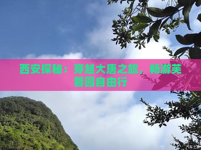 西安探秘：穿越大唐之旅，畅游芙蓉园自由行
