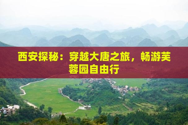 西安探秘：穿越大唐之旅，畅游芙蓉园自由行