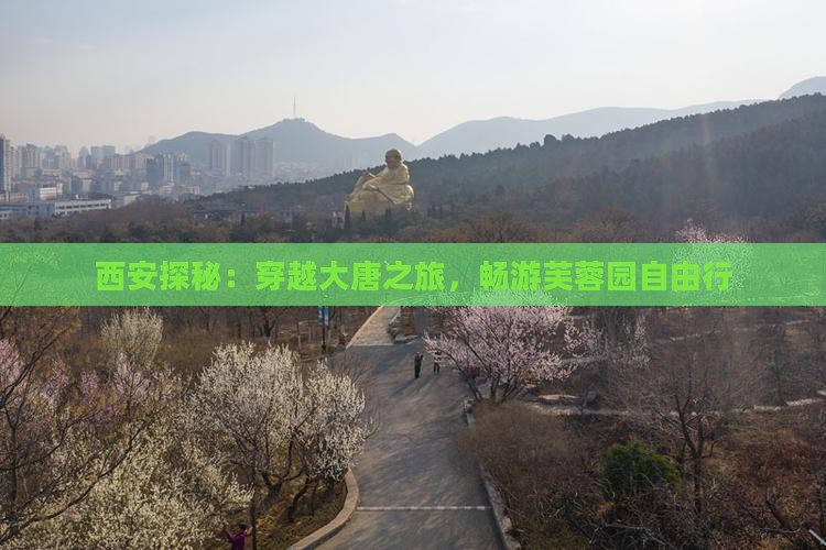 西安探秘：穿越大唐之旅，畅游芙蓉园自由行