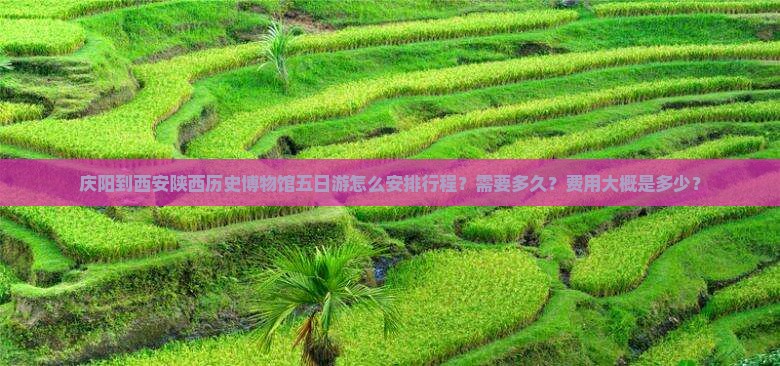 庆阳到西安陕西历史博物馆五日游怎么安排行程？需要多久？费用大概是多少？