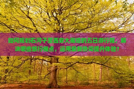 如何规划石河子至西安大雁塔的五日游行程，解决哪些旅行痛点，运用最新热词提升体验？