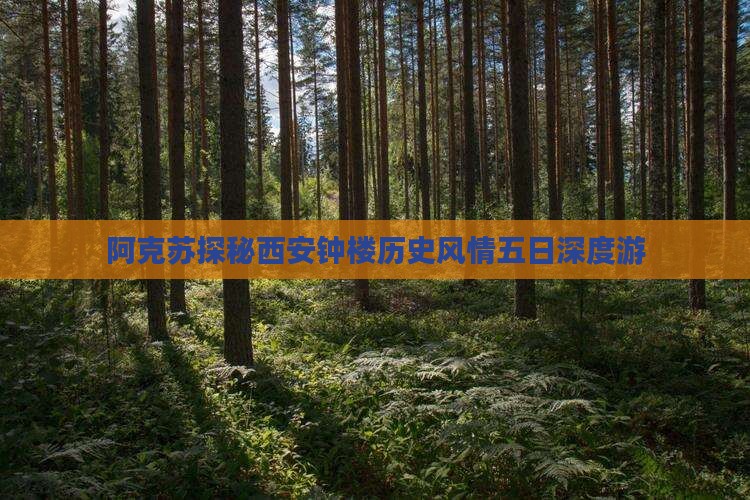 阿克苏探秘西安钟楼历史风情五日深度游