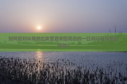 如何规划从朔州出发至西安回民街的一日游行程与美食体验？