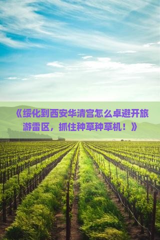 《绥化到西安华清宫怎么卓避开旅游雷区，抓住种草种草机！》