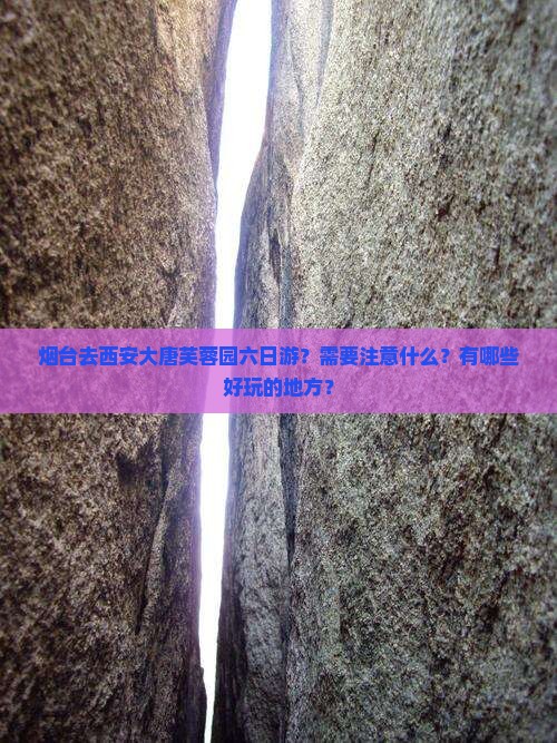 烟台去西安大唐芙蓉园六日游？需要注意什么？有哪些好玩的地方？