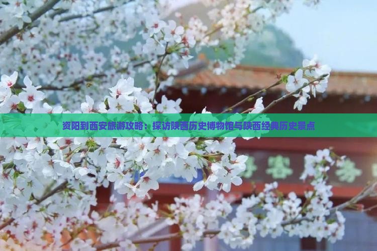 资阳到西安旅游攻略：探访陕西历史博物馆与陕西经典历史景点