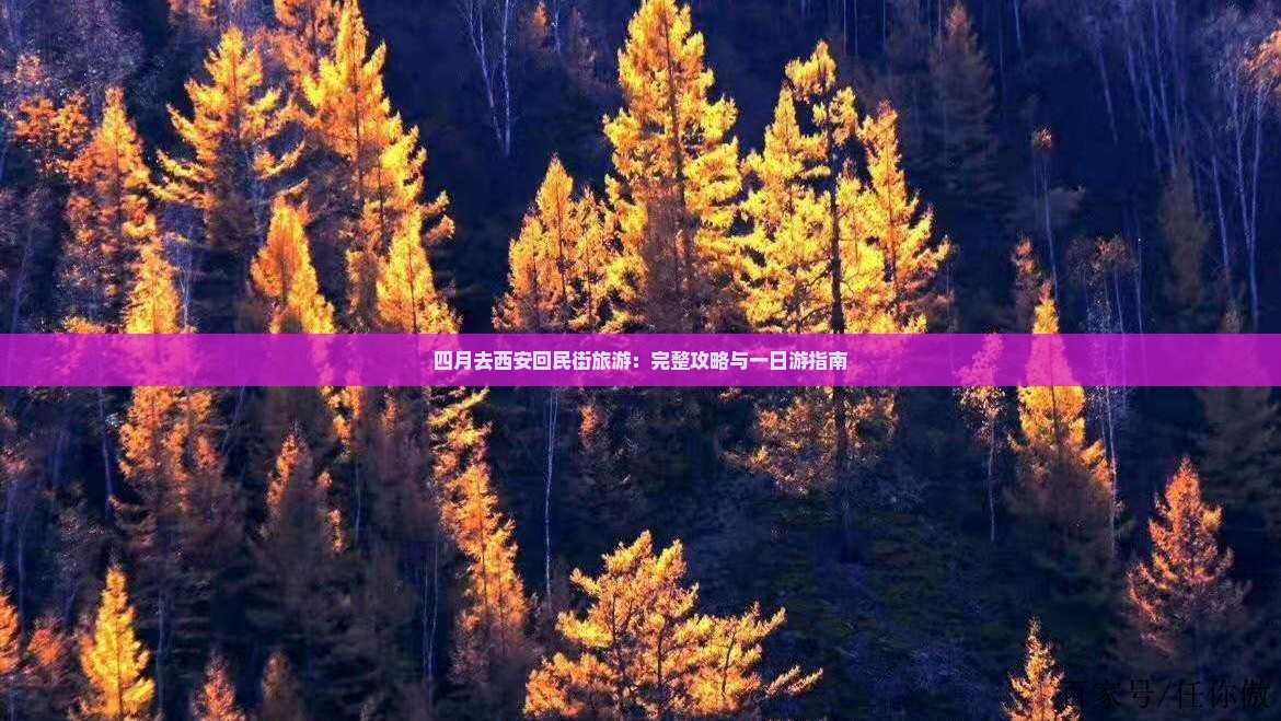 四月去西安回民街旅游：完整攻略与一日游指南