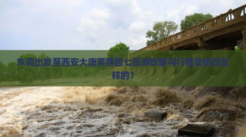 东莞出发至西安大唐芙蓉园七日游攻略与行程安排是怎样的？