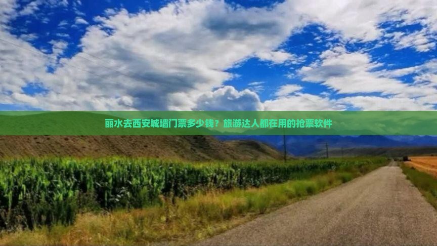 丽水去西安城墙门票多少钱？旅游达人都在用的抢票软件
