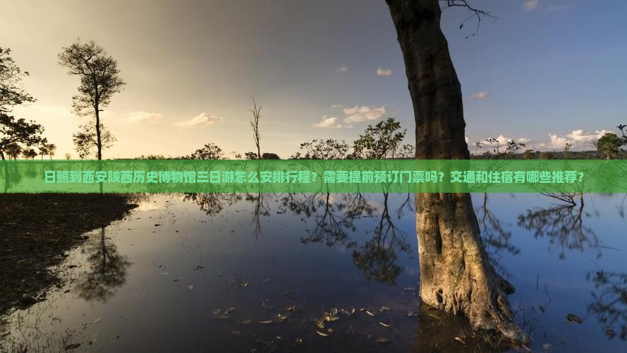 日照到西安陕西历史博物馆三日游怎么安排行程？需要提前预订门票吗？交通和住宿有哪些推荐？