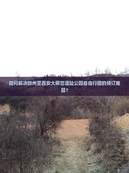 如何解决赣州至西安大明宫遗址公园自由行团的预订难题？