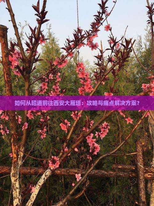 如何从昭通前往西安大雁塔：攻略与痛点解决方案？