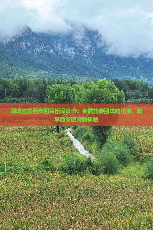 聊城出发西安回民街深度游：专属旅游团攻略指南，畅享西安旅游新体验