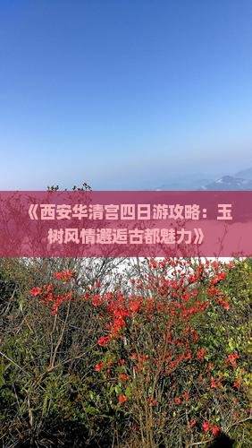 《西安华清宫四日游攻略：玉树风情邂逅古都魅力》