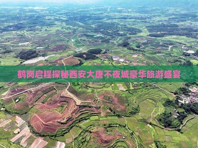 鹤岗启程探秘西安大唐不夜城豪华旅游盛宴