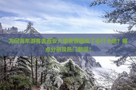 为何海东游客去西安大唐芙蓉园成了必打卡地？痛点分析及热门新词！