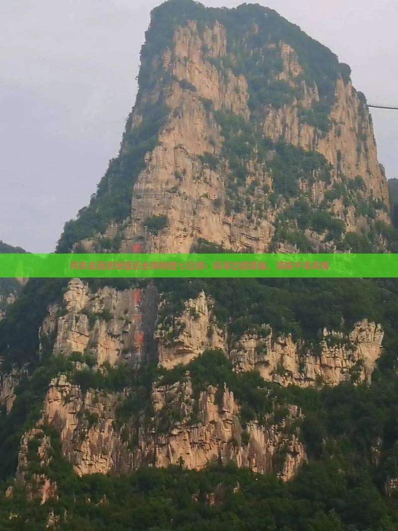 丹东去西安陕西历史博物馆七日游：探寻古都奥秘，领略千年风情