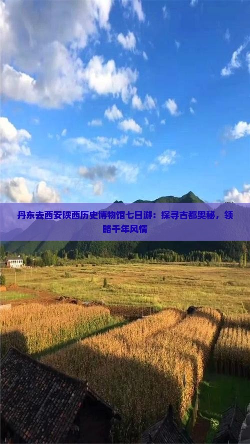 丹东去西安陕西历史博物馆七日游：探寻古都奥秘，领略千年风情