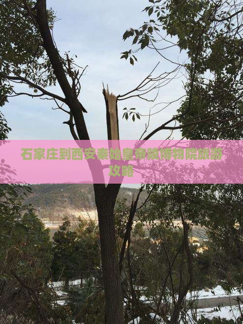 石家庄到西安秦始皇帝陵博物院旅游攻略