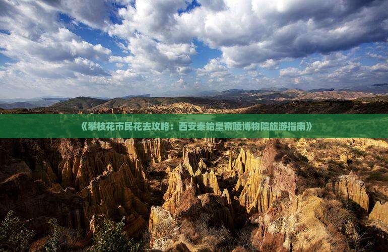 《攀枝花市民花去攻略：西安秦始皇帝陵博物院旅游指南》