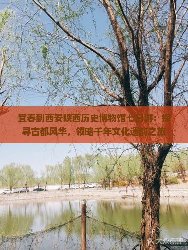 宜春到西安陕西历史博物馆七日游：探寻古都风华，领略千年文化遗韵之旅