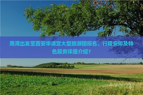 鹰潭出发至西安华清宫大型旅游团报名、行程安排及特色服务详细介绍？