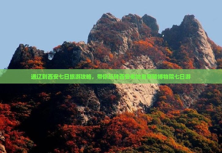 通辽到西安七日旅游攻略，带你玩转西安秦始皇帝陵博物院七日游