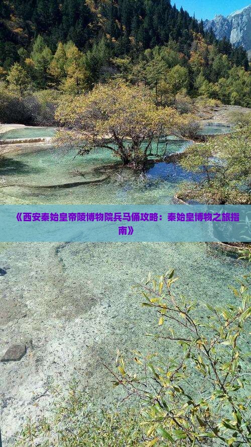 《西安秦始皇帝陵博物院兵马俑攻略：秦始皇博物之旅指南》