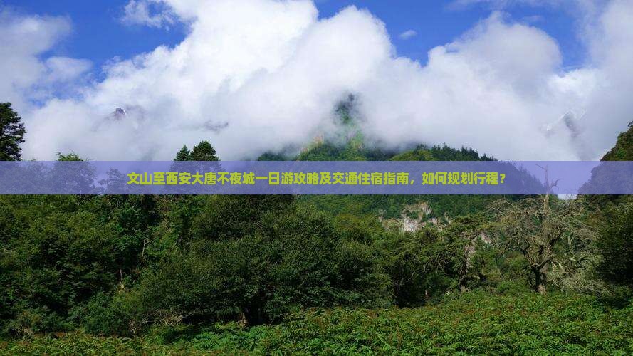 文山至西安大唐不夜城一日游攻略及交通住宿指南，如何规划行程？