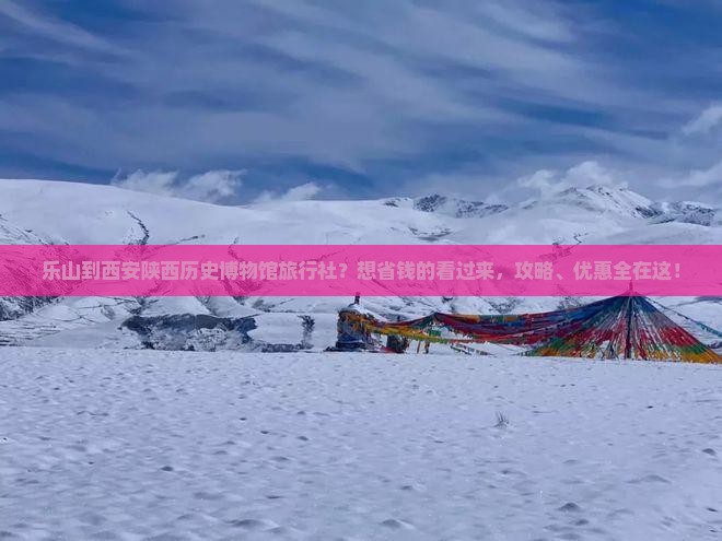 乐山到西安陕西历史博物馆旅行社？想省钱的看过来，攻略、优惠全在这！
