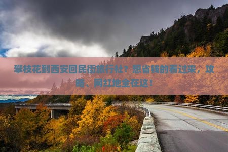 攀枝花到西安回民街旅行社？想省钱的看过来，攻略、网红地全在这！