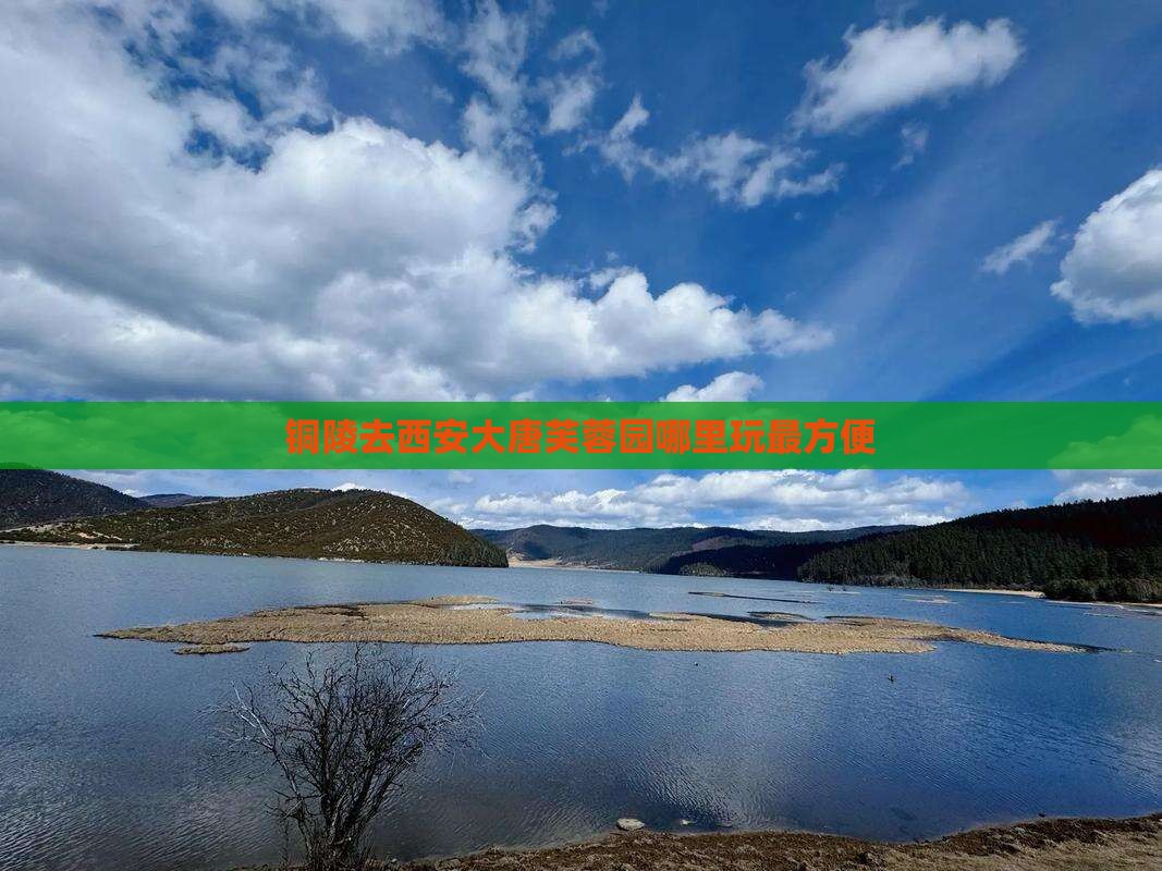 铜陵去西安大唐芙蓉园哪里玩最方便