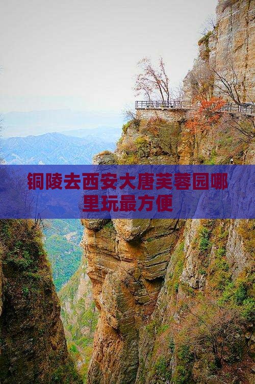 铜陵去西安大唐芙蓉园哪里玩最方便