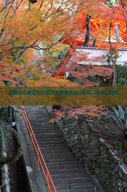 如何从石家庄前往西安大明宫遗址公园及门票预订攻略？