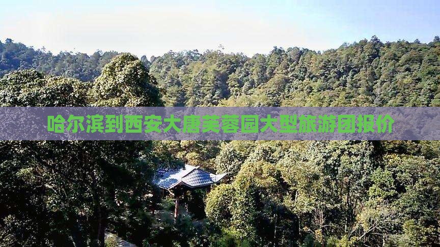 哈尔滨到西安大唐芙蓉园大型旅游团报价