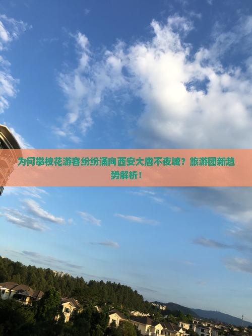 为何攀枝花游客纷纷涌向西安大唐不夜城？旅游团新趋势解析！