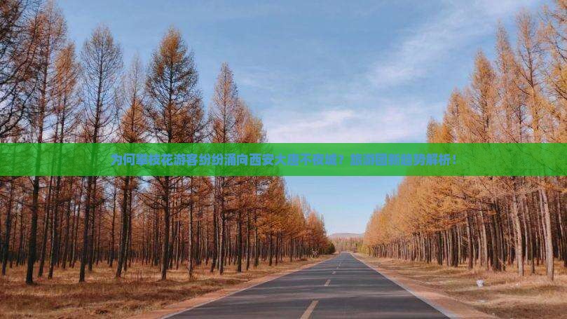 为何攀枝花游客纷纷涌向西安大唐不夜城？旅游团新趋势解析！
