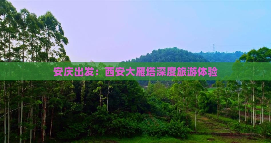 安庆出发：西安大雁塔深度旅游体验