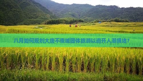 八月如何规划大唐不夜城团体旅游以避开人潮拥堵？