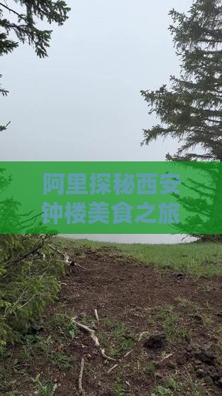 阿里探秘西安钟楼美食之旅：必尝小吃攻略