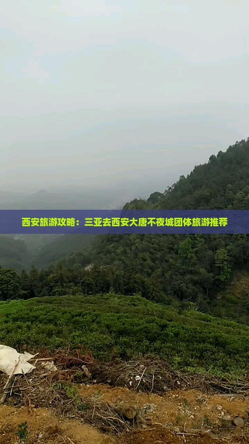 西安旅游攻略：三亚去西安大唐不夜城团体旅游推荐