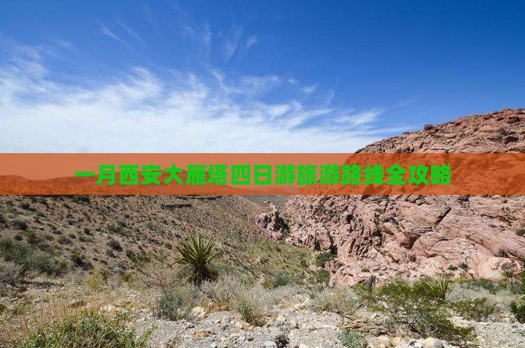 一月西安大雁塔四日游旅游路线全攻略
