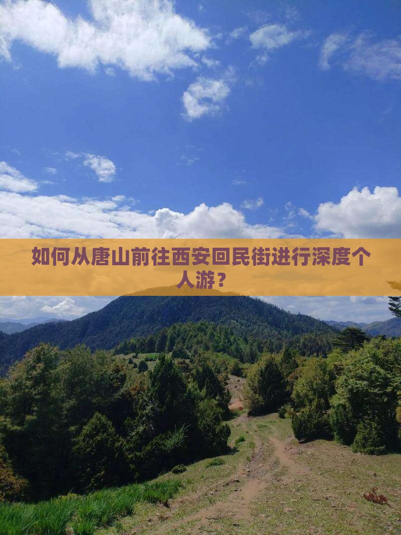 如何从唐山前往西安回民街进行深度个人游？