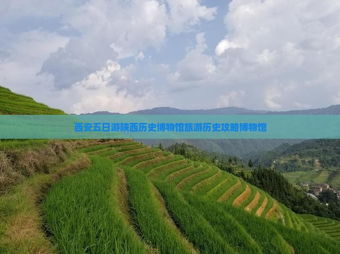 西安五日游陕西历史博物馆旅游历史攻略博物馆