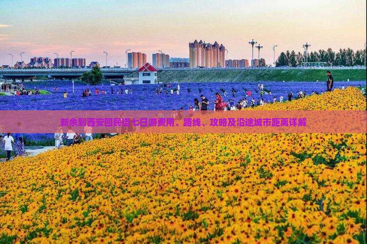 新余到西安回民街七日游费用、路线、攻略及沿途城市距离详解