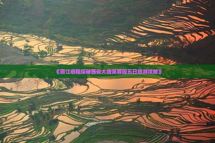 《丽江启程探秘西安大唐芙蓉园五日旅游攻略》