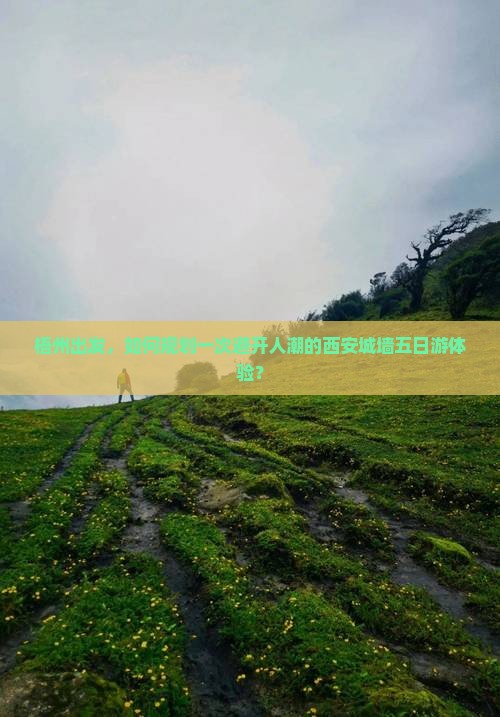 梧州出发，如何规划一次避开人潮的西安城墙五日游体验？