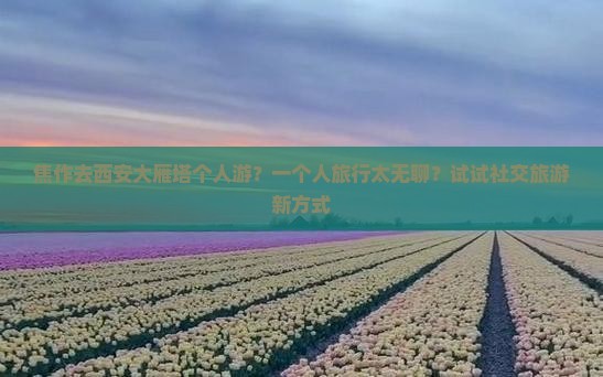 焦作去西安大雁塔个人游？一个人旅行太无聊？试试社交旅游新方式