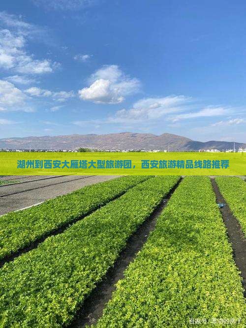 湖州到西安大雁塔大型旅游团，西安旅游精品线路推荐
