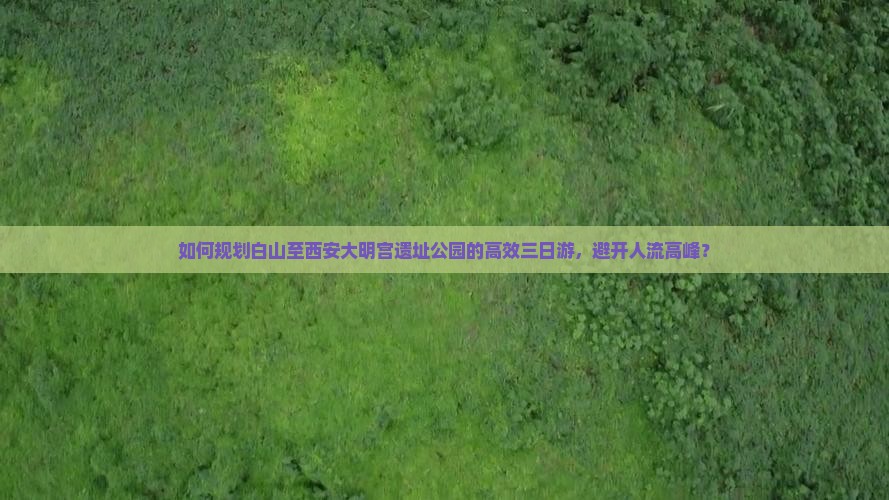 如何规划白山至西安大明宫遗址公园的高效三日游，避开人流高峰？